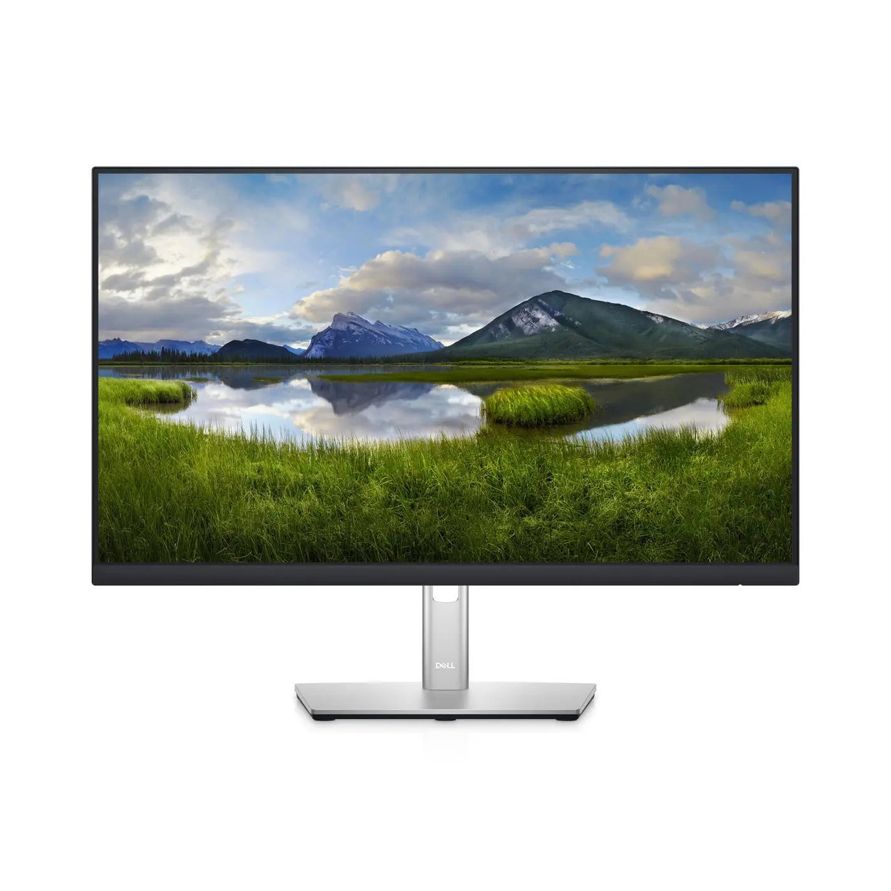 LED-Screen - 23.8" - 1920 x Dell